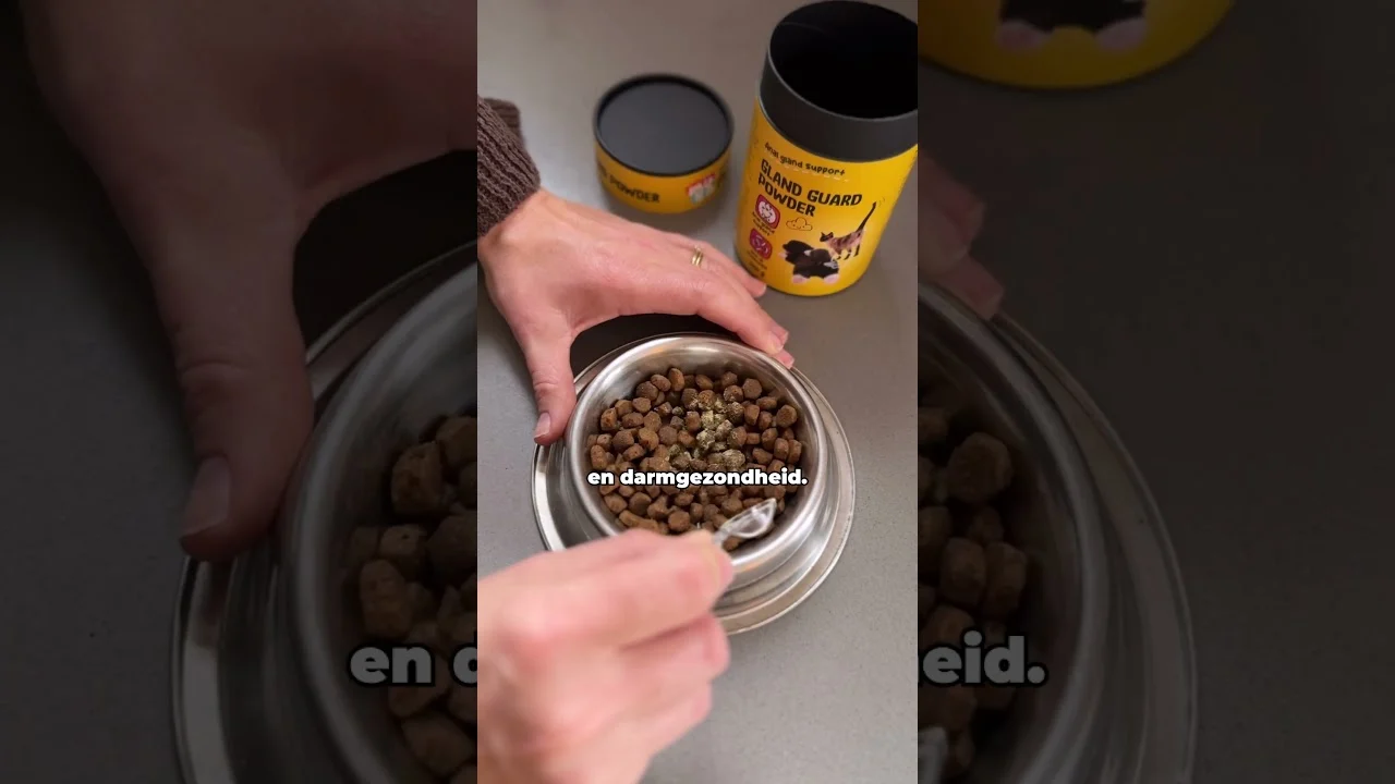 Ergänzungspulver für Hunde und Katzen mit Präbiotika und Probiotika – Excellent Pets Gland Guard Pulver – Bild 2