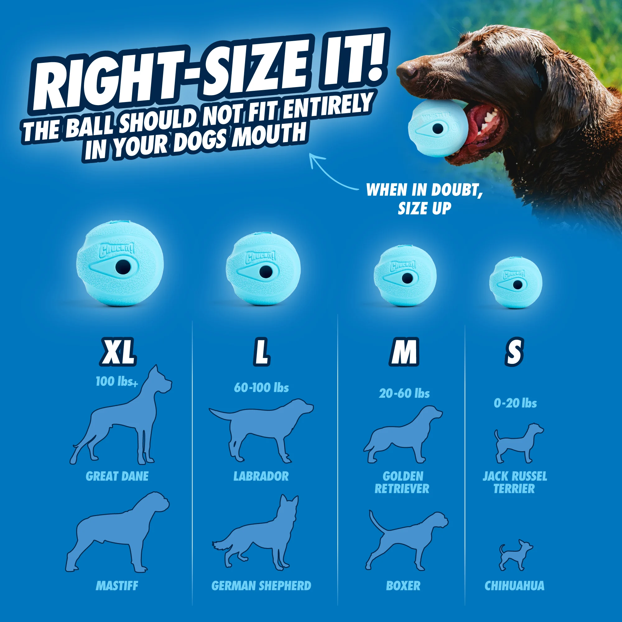 Hundeball mit Pfeifton S, ø 5 cm, 2 Stück – Chuckit! The Whistler – Bild 6