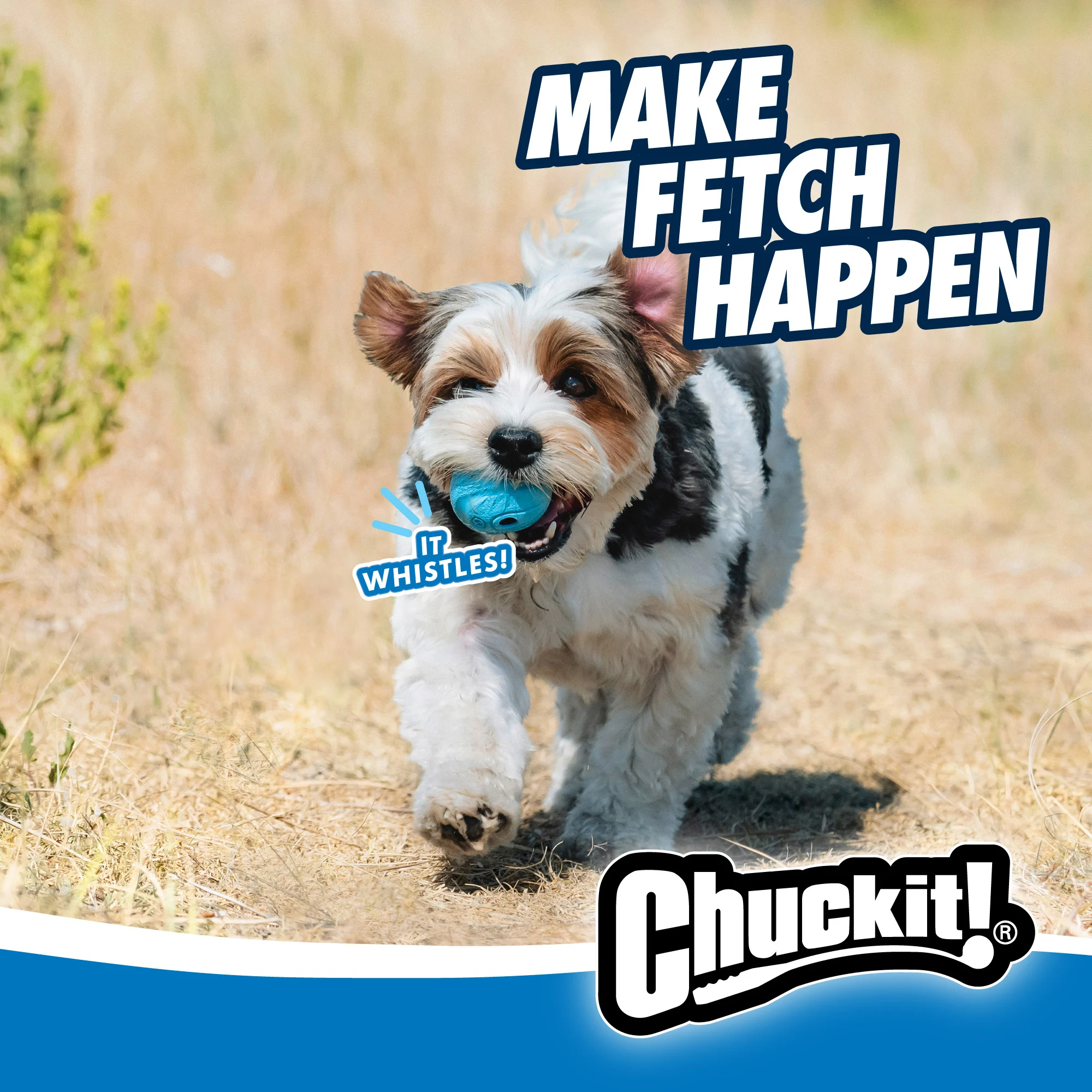 Hundeball mit Pfeifton M, ø 6 cm, 2 Stück – Chuckit! The Whistler – Bild 5