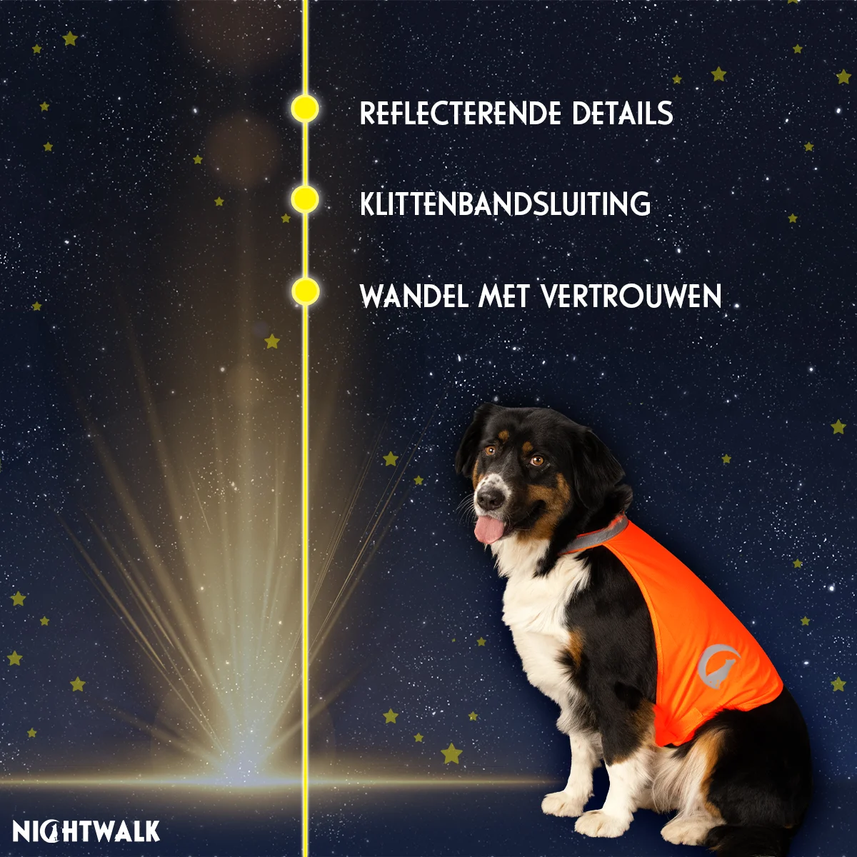 Sicherheitsweste für Hunde mit reflektierenden Details und Klettverschluss, Orange, M – Nightwalk Safety Vest – Bild 3