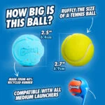 Hunde-Ball aus recyceltem Gummi, springt, 2 Stück – Chuckit! Rebounce Fetch Ball M – Bild 3
