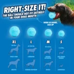 Hunde-Ball aus recyceltem Gummi, springt, 2 Stück – Chuckit! Rebounce Fetch Ball M – Bild 6