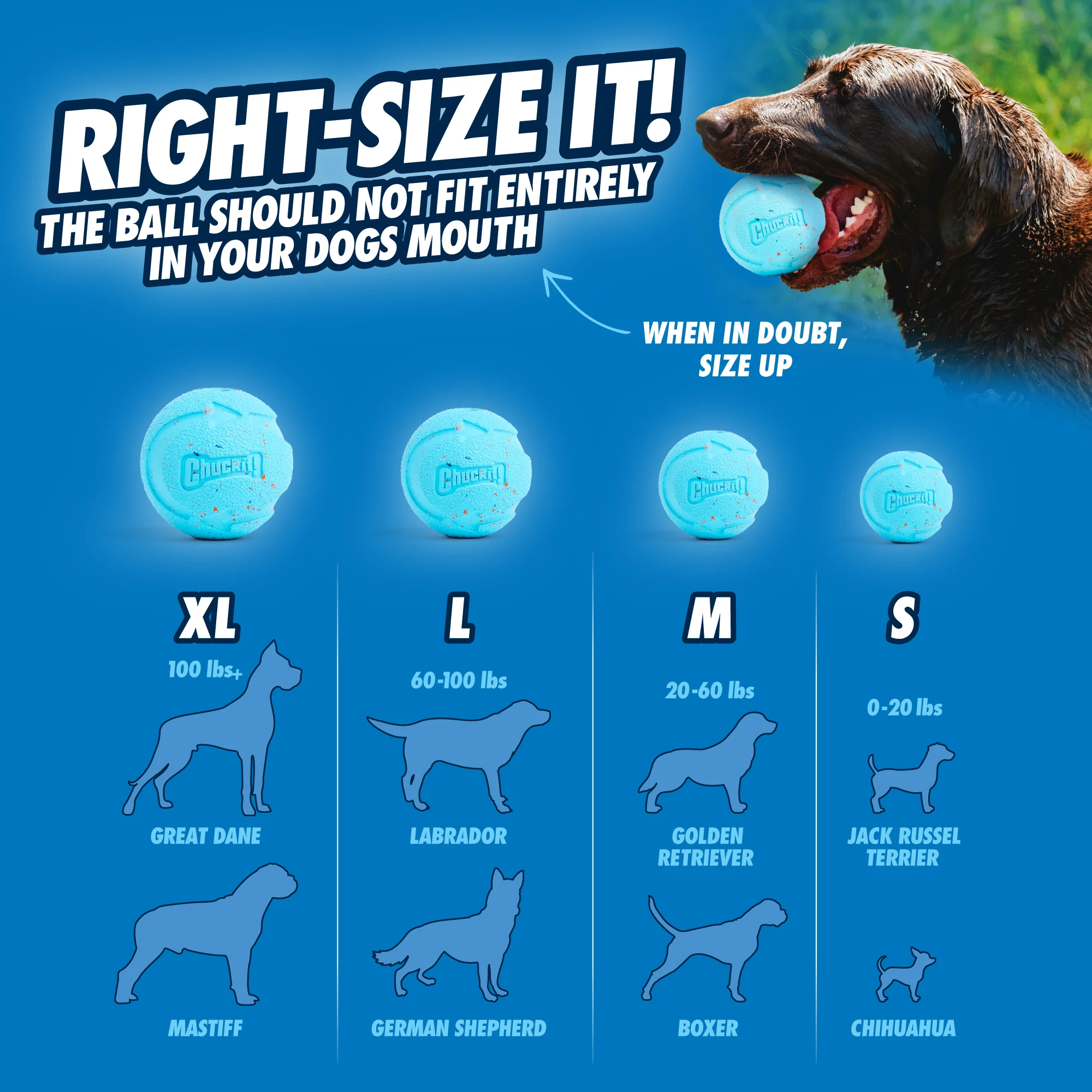 Hunde-Ball aus recyceltem Gummi, springt, 2 Stück – Chuckit! Rebounce Fetch Ball M – Bild 6