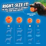 Apportierball für Hunde S, schwimmfähig, 5 cm, 2 Stück – Chuckit! Air Fetch Ball – Bild 4