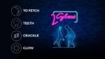 Leuchtender Spielknochen für Hunde – 2 Glow Treat Bone of it's Own – Bild 2