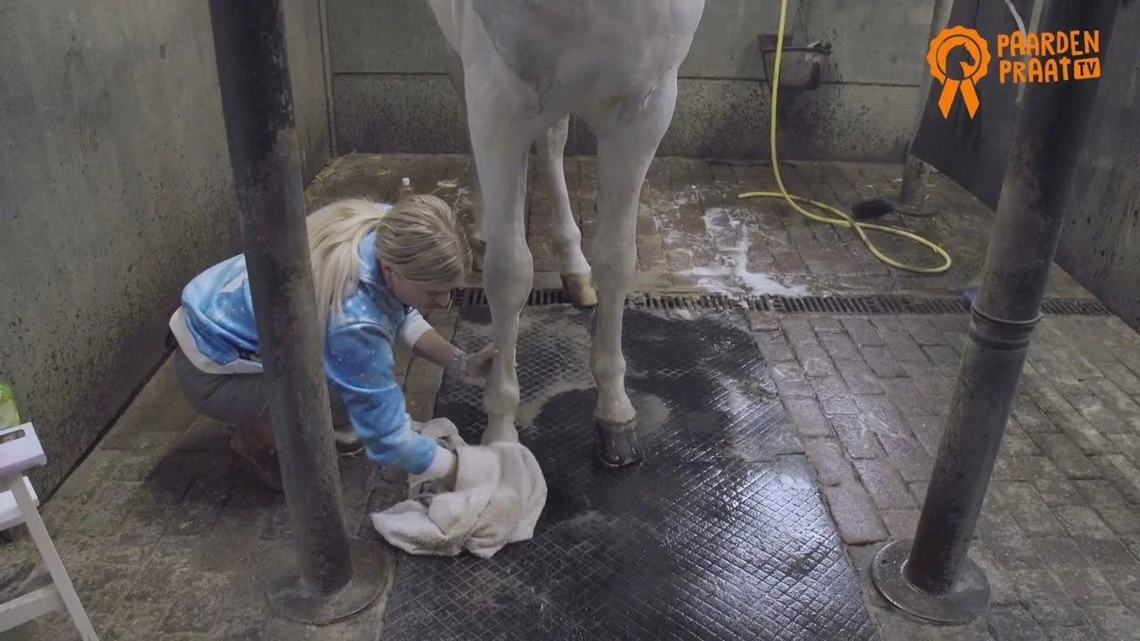 Huföl mit Teebaumöl, 500 ml – Paardenpraat TV Hoefglansolie – Bild 2