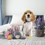 Hundekuscheltier Kaninchen aus Plüsch mit Quietscher für Welpen – Bunny Puppy Crunchy Chew – Bild 3