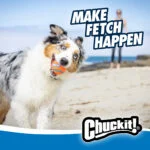 Ballwerfer mit Ball, 45 cm – Chuckit! Junior Ball Launcher – Bild 6