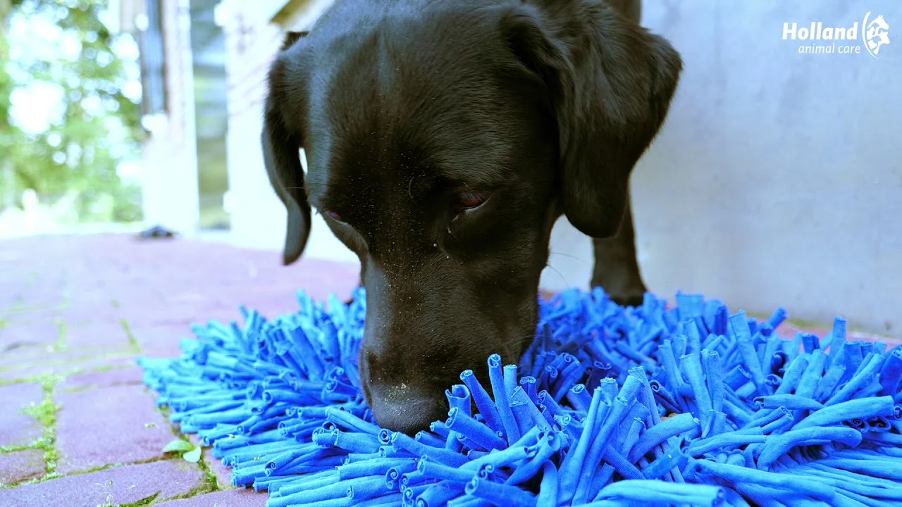 Schnüffelmatte für Hunde mit Stoffstreifen, Grau, 44 x 28 cm – Eat Slow Live Longer Play Mat – Bild 4