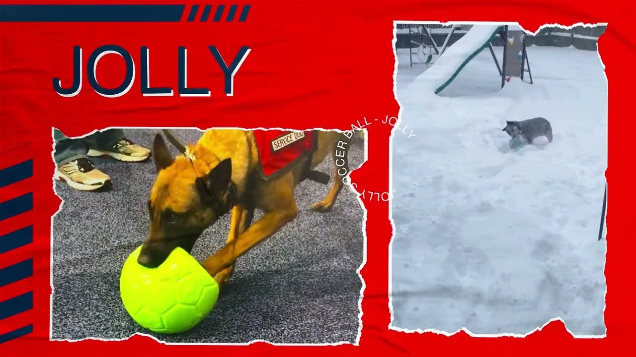 Hundeball zum Apportieren, orange und weiß, 15 cm – Jolly Pets Jolly Soccer Ball – Bild 5