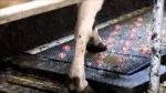 Klauensprühmatte mit automatischer Besprühung – Vink – Bild 6