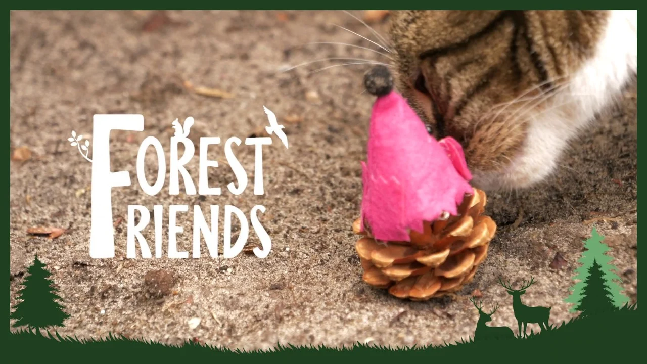 Spielmaus für Katzen aus Tannenzapfen und Filz mit Madnip, Grau, 8 cm – Forest Friends Mouse – Bild 3
