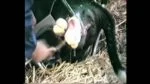 Befestigung des Stützbügels für Geburtshelfer – Vink – Bild 2