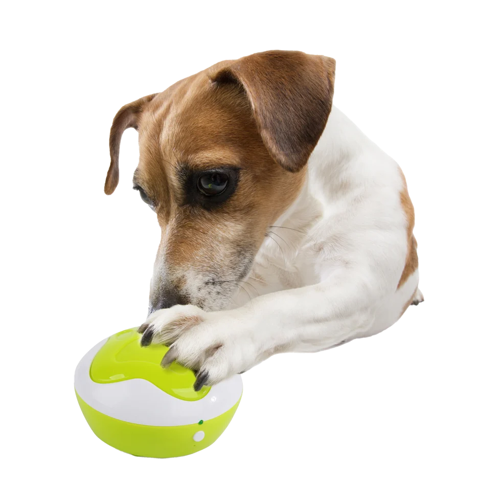Trainingsknöpfe für Hunde mit Aufnahmefunktion, 4 Stück, 11 x 11 x 6 cm – AFP Interactives - Dog Interpreter – Bild 2