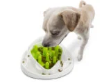 Futterlabyrinth für Hunde mit 2 Labyrinthvarianten – AFP Interactives - Food Maze – Bild 5