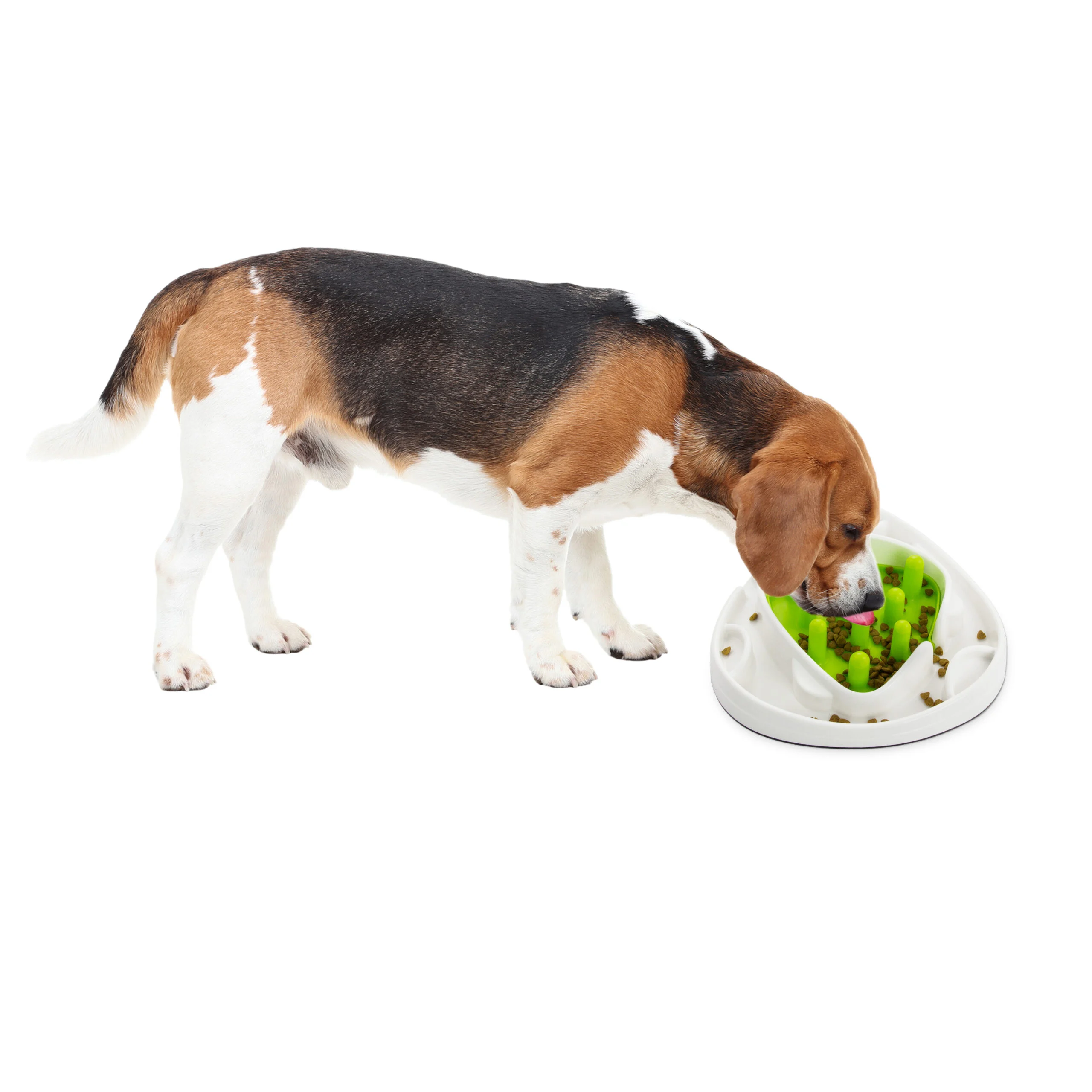 Futterlabyrinth für Hunde mit 2 Labyrinthvarianten – AFP Interactives - Food Maze – Bild 2