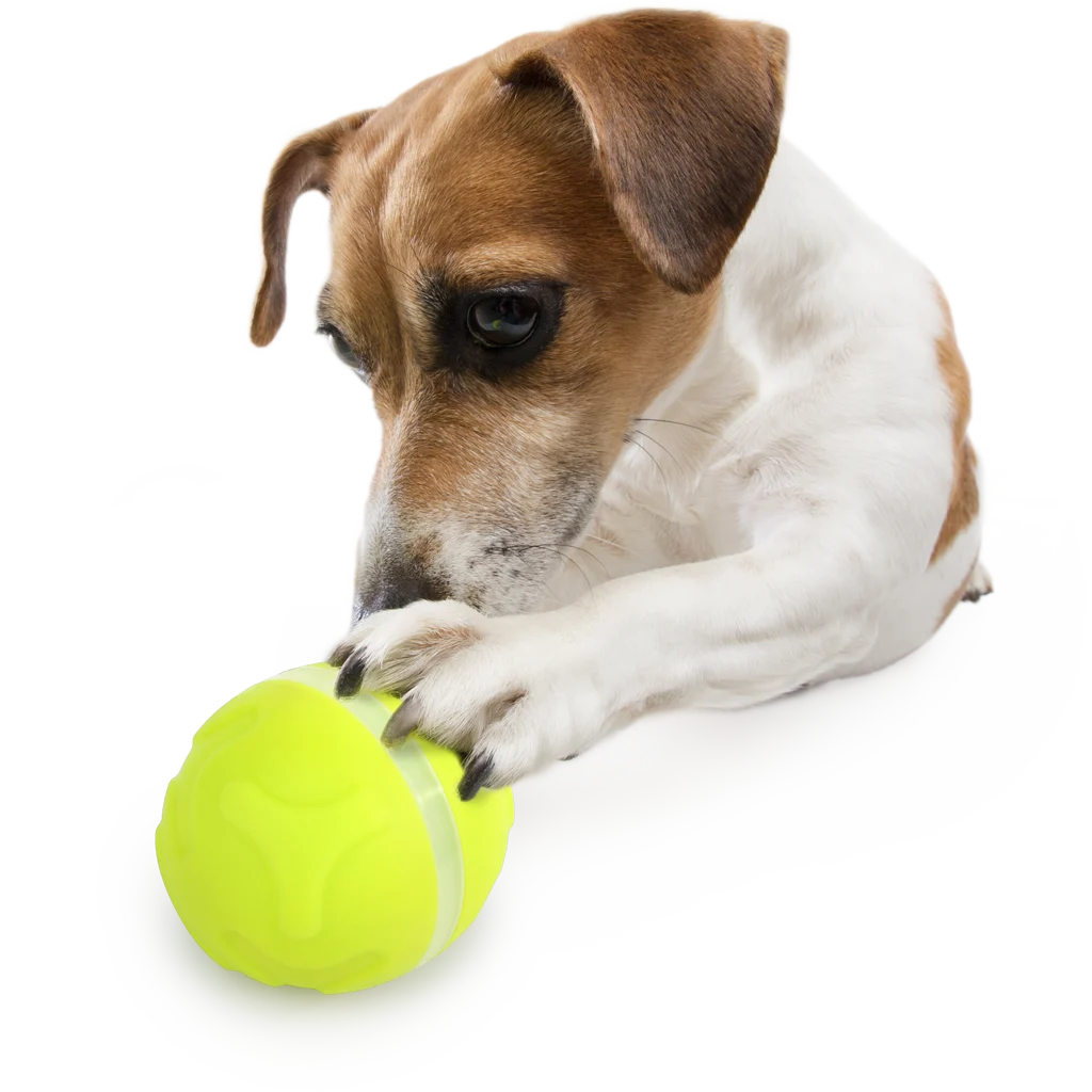 Belohnungsautomat für Hunde mit ballförmiger Fernbedienung – AFP Interactives - Lucky Treat with Rolling Ball – Bild 5