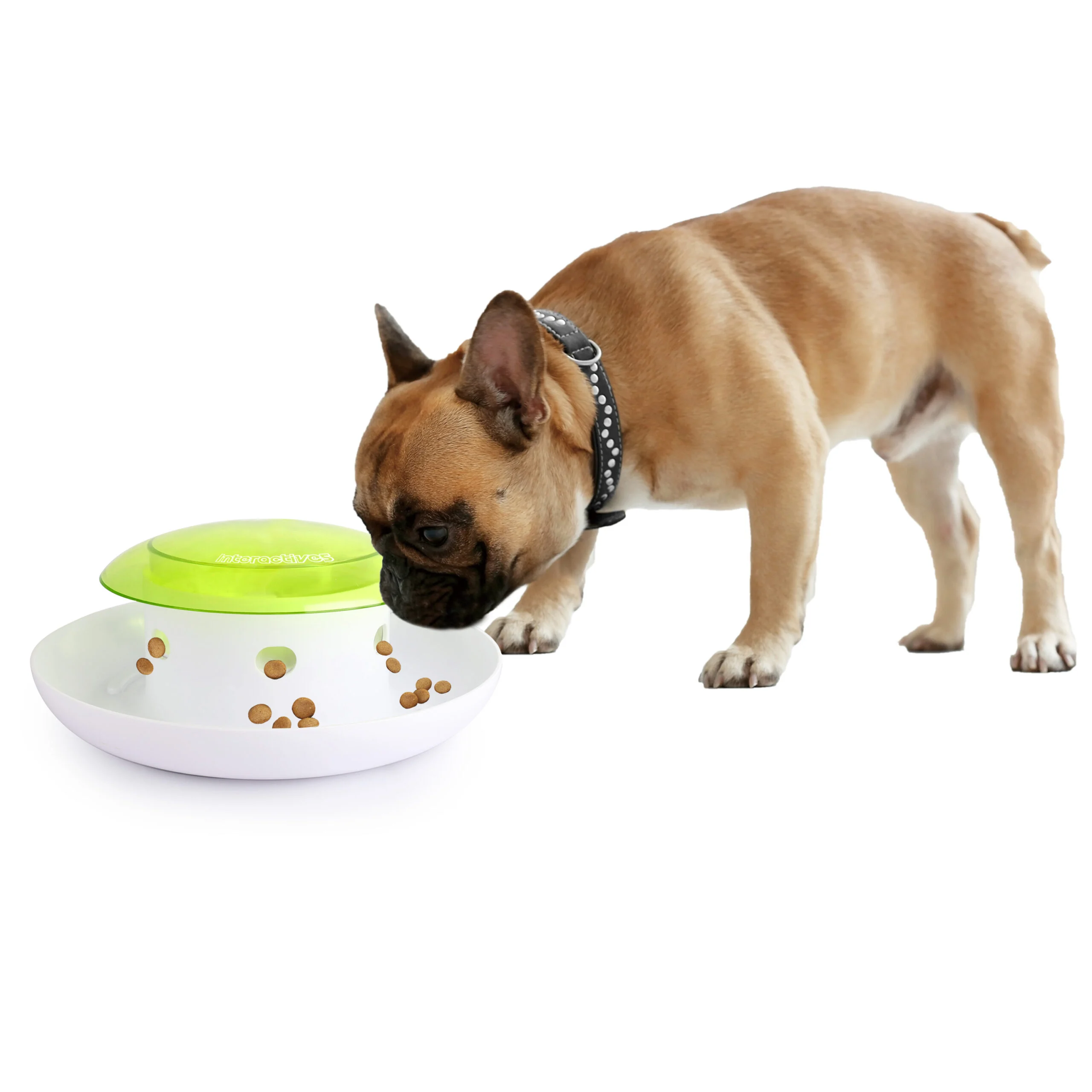 Futterspender für Hunde mit Druckknopf und Auffangschale – AFP Interactives Push 4 Meal Dispener – Bild 4