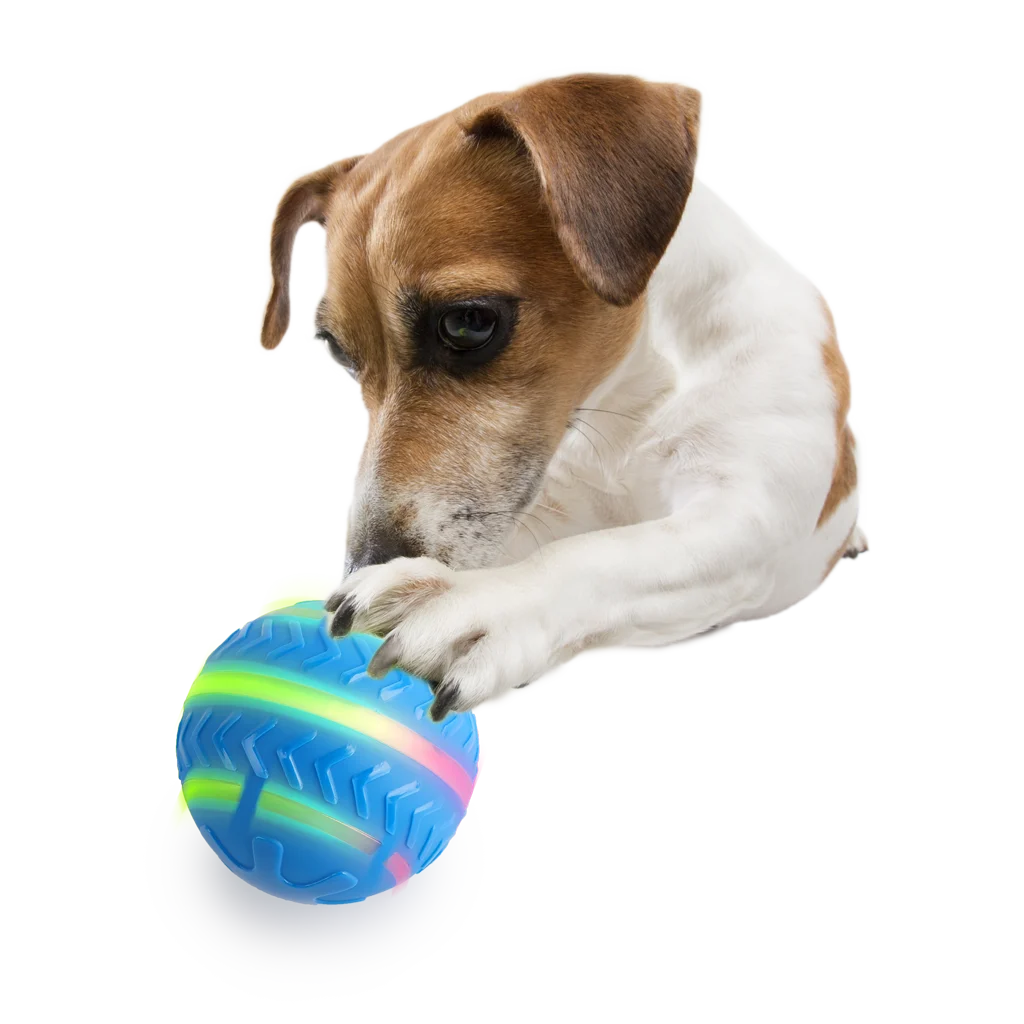 Beweglicher Hundeball mit Licht, per USB aufladbar – AFP Interactives Motion Activated Action Ball – Bild 4