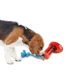 Futterspender für Hunde in Stiefelform mit Seil, 14 x 14 cm – AFP Doggies' Shoes Big Boot Dispenser L – Bild 5