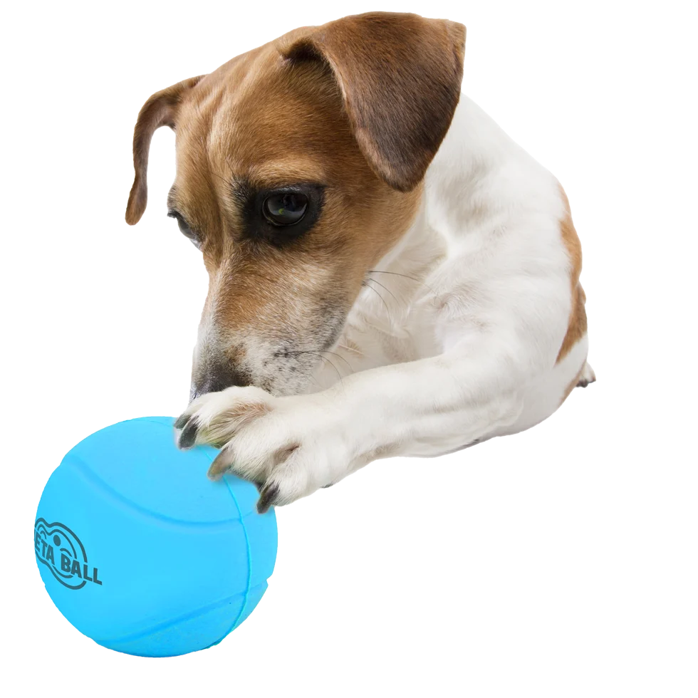 Gummiball für Hunde mit Rasselgeräusch, ø 6,3 cm – AFP Meta Ball Bounce & Rattle Ball – Bild 3