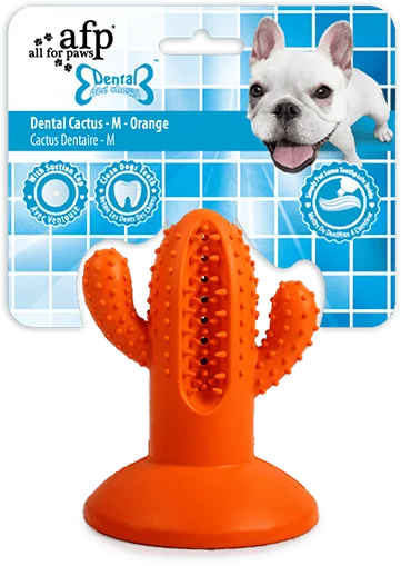 AFPH04197.png Kauspielzeug aus Gummi, Kaktus mit Saugnapf, M, Orange, 9,4 x 12,3 x 9,5 cm – AFP Dental Chews - Dental Cactus – Bild 1