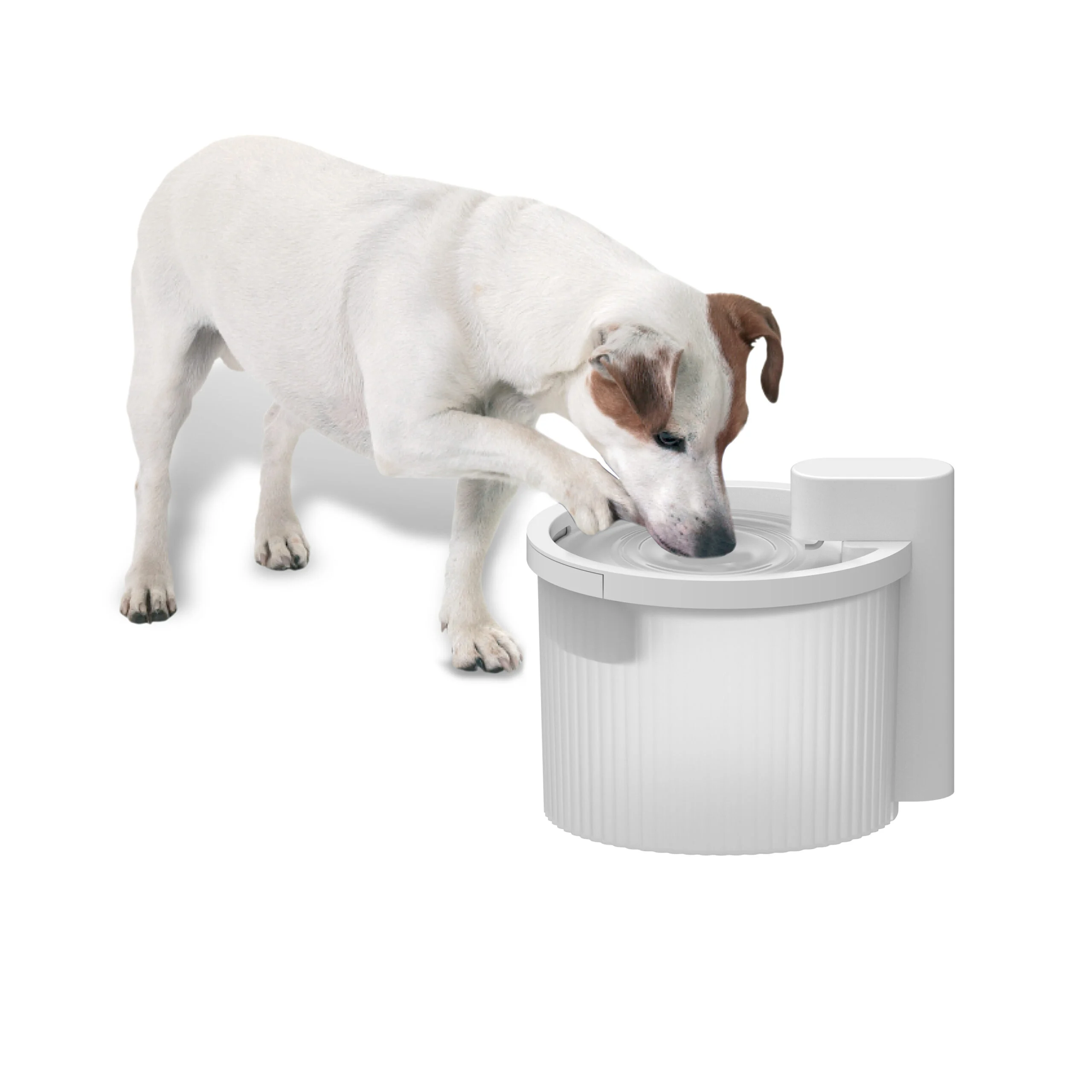 Trinkbrunnen für Hunde, kabellos mit Bewegungssensor, 2,5 l – AFP Lifestyle 4 Pets Wireless Fountain – Bild 2