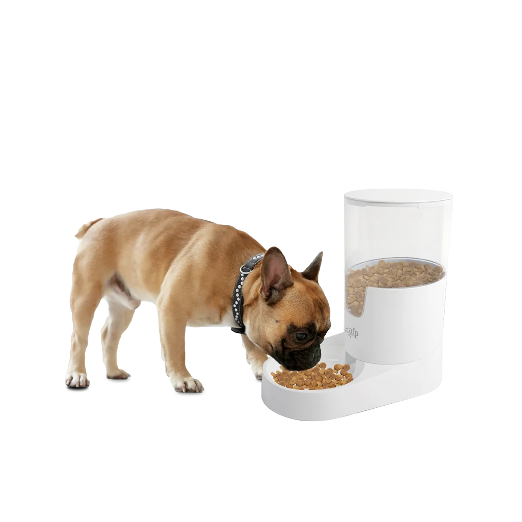 Automatischer Hundefutterspender mit Behälter, 3 l – AFP Lifestyle 4 Pets Gravity Pet Food Feeder – Bild 2
