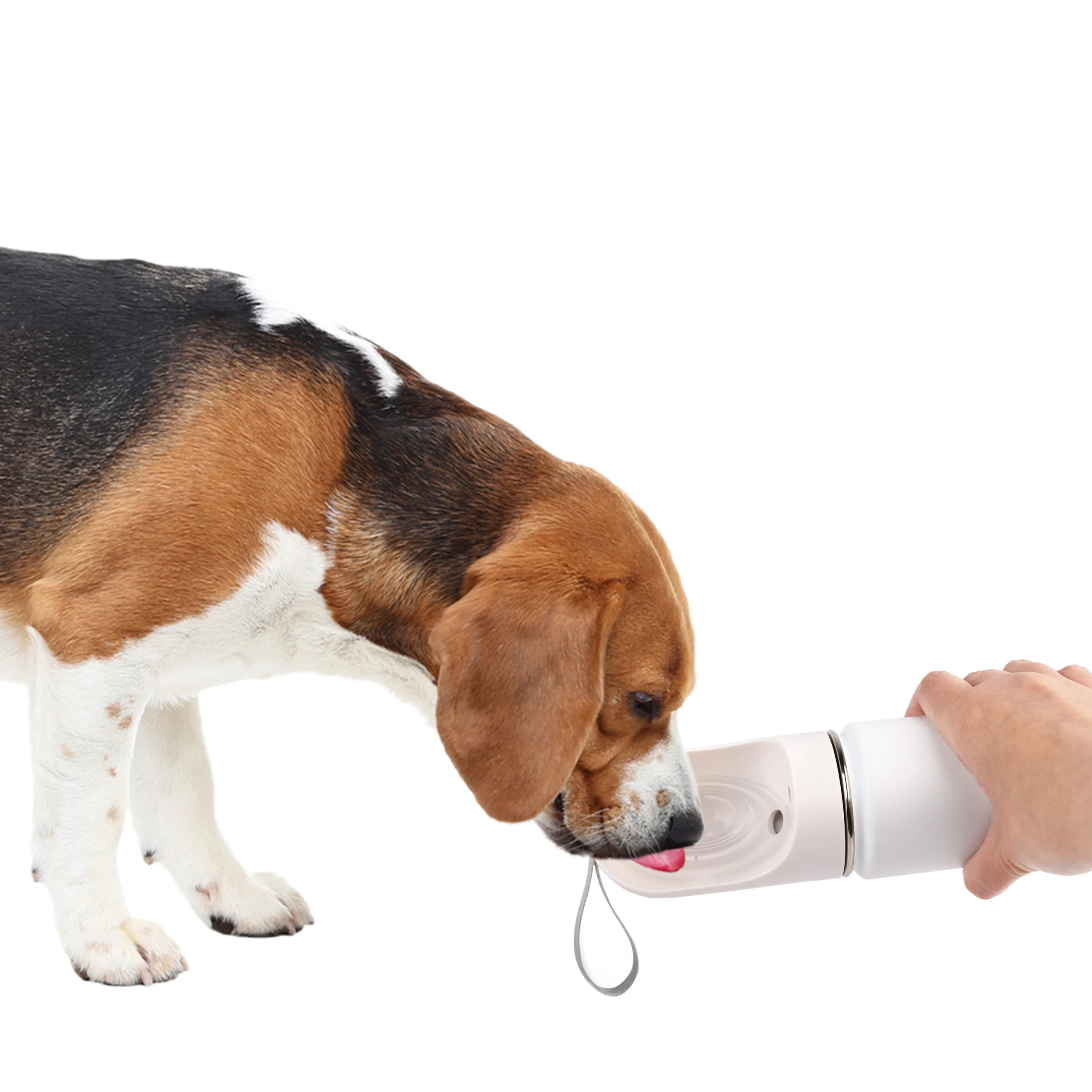 Trinkflasche für Hunde mit Trinknapf und Snackbehälter, 414 ml – AFP 2 In 1 Stainless Drinking Bottle – Bild 5