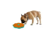 Leckmatte für Hunde mit Saugnäpfen und Befestigung an der Hundebox – AFP Calming Pals Lick-A-Disk – Bild 5