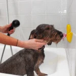 Badeente für Hunde mit Saugnapf und Silikon Noppen, 13 x 10 cm – AFP Calm Paws - Bath Anti-anxiety Duck – Bild 2