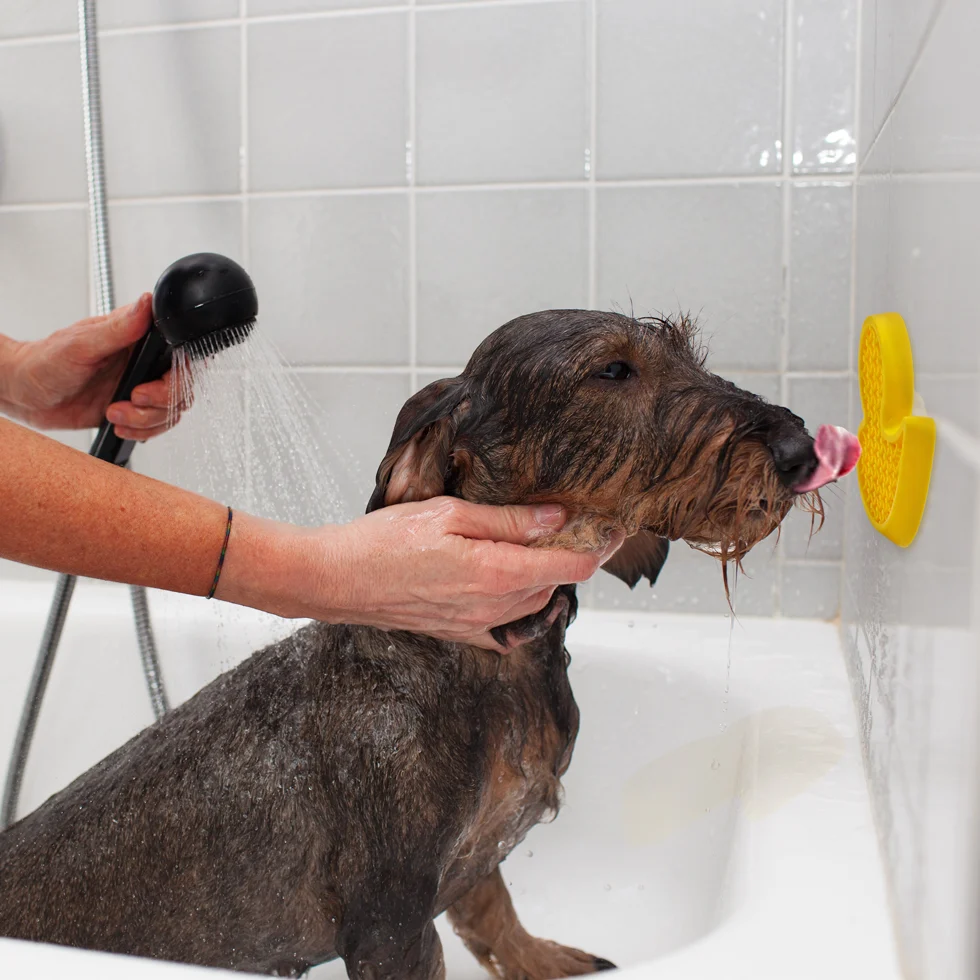 Badeente für Hunde mit Saugnapf und Silikon Noppen, 13 x 10 cm – AFP Calm Paws - Bath Anti-anxiety Duck – Bild 2