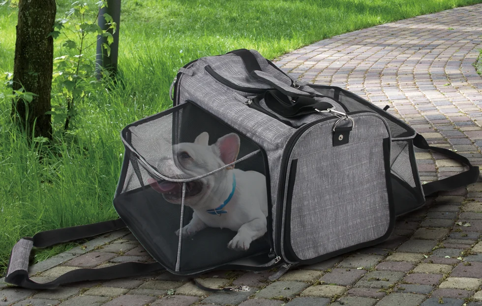Hundetrolley mit Tragefunktion, bis zu 11 kg – AFP Travel Dog - Rolling Pet Carrier – Bild 2