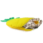 Katzenspielmatte in Ananasform mit Katzenminze – AFP Green Rush - Play Mat Ananas – Bild 2