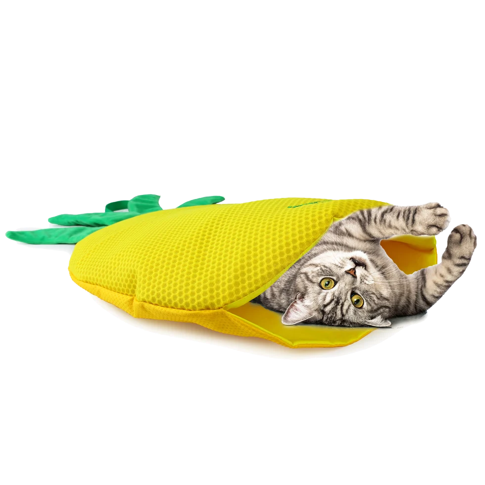 Katzenspielmatte in Ananasform mit Katzenminze – AFP Green Rush - Play Mat Ananas – Bild 2