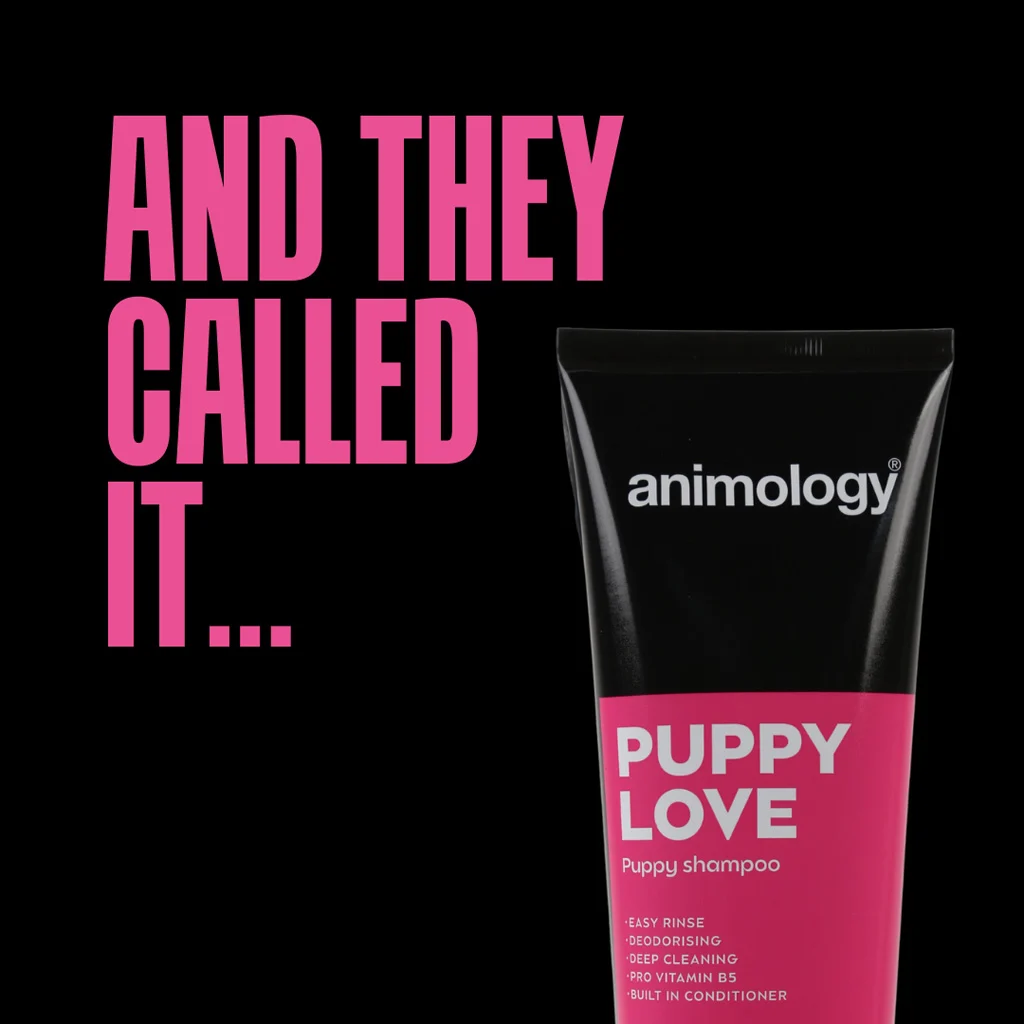Welpen Shampoo für empfindliche Haut, 250 ml – Animology Puppy Love – Bild 2