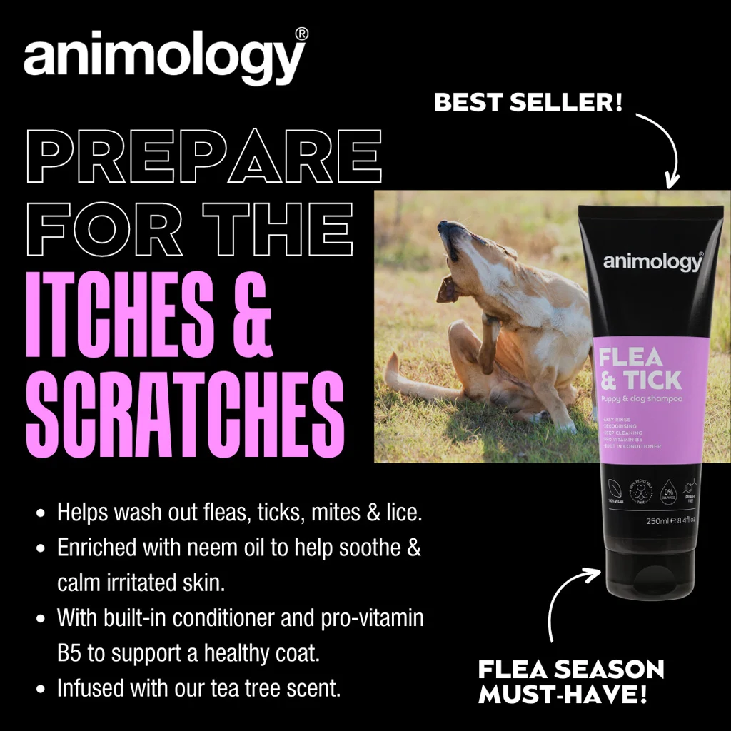 Hundeshampoo zum Auswaschen von Flöhen und Zecken, 250 ml – Animology Flea & Tick – Bild 2