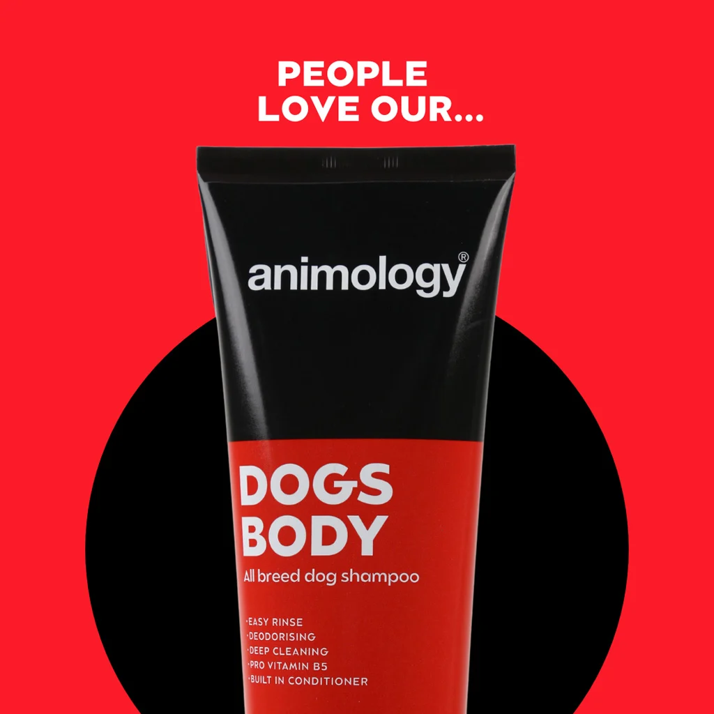 Mildes Hundeshampoo mit Conditioner, 250 ml – Animology Dogs Body – Bild 2