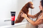 Mildes Hundeshampoo mit Conditioner, 250 ml – Animology Dogs Body – Bild 3
