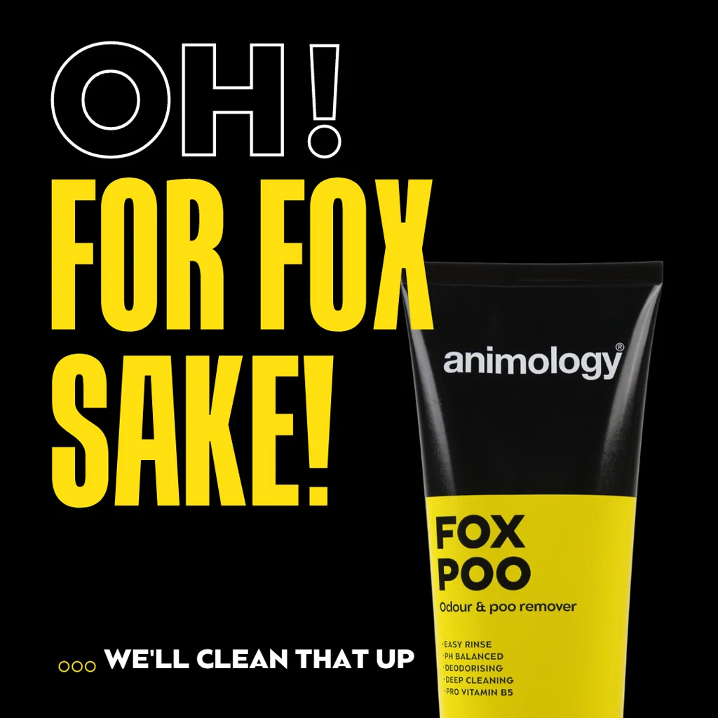Hundeshampoo gegen unangenehme Gerüche, 250 ml – Animology Fox Poo – Bild 2