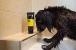 Hundeshampoo gegen unangenehme Gerüche, 250 ml – Animology Fox Poo – Bild 3