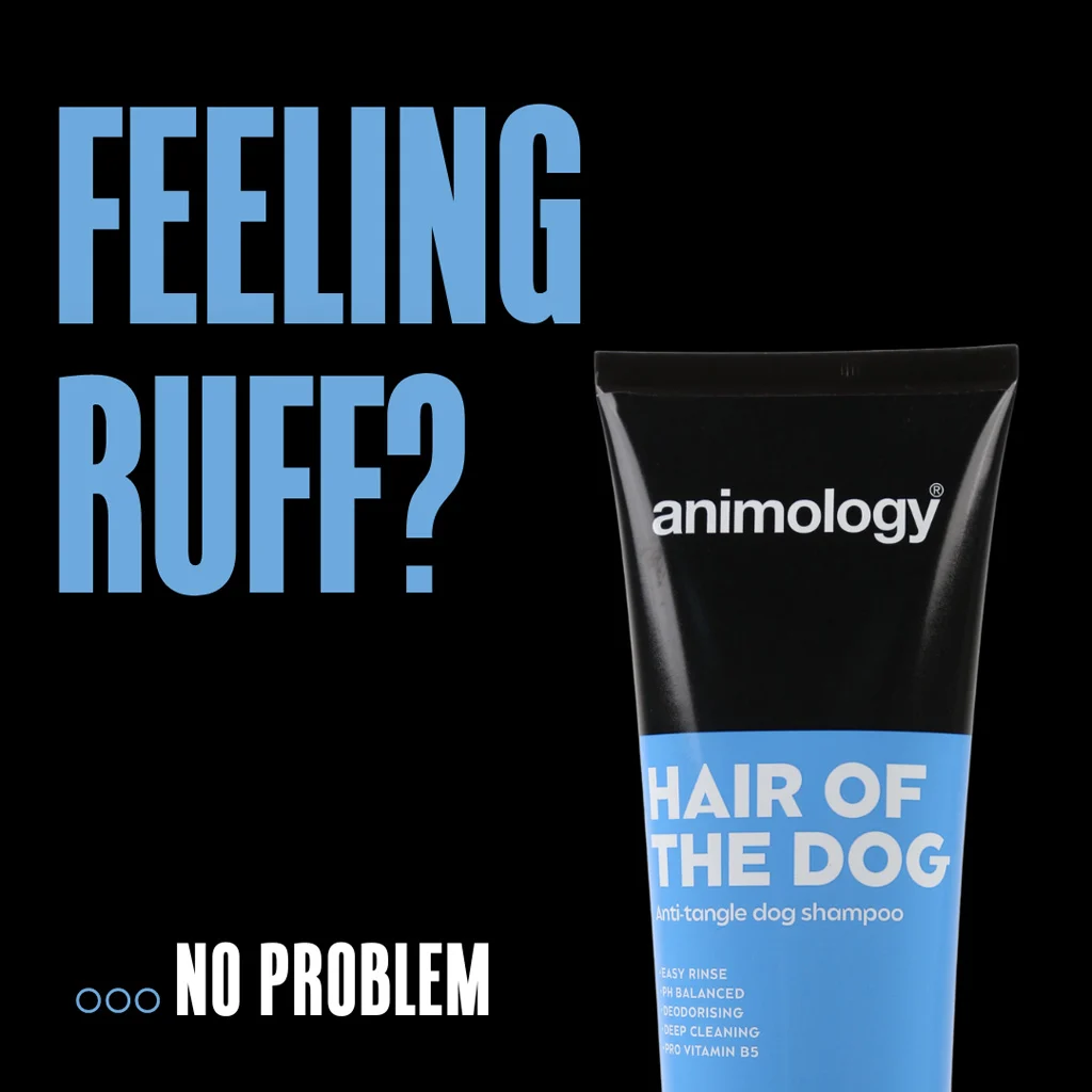 Entwirrendes Hundeshampoo mit Pflegespülung, 250 ml – Animology Hair Of The Dog Anti-Tangle – Bild 2