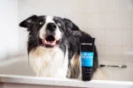 Entwirrendes Hundeshampoo mit Pflegespülung, 250 ml – Animology Hair Of The Dog Anti-Tangle – Bild 3