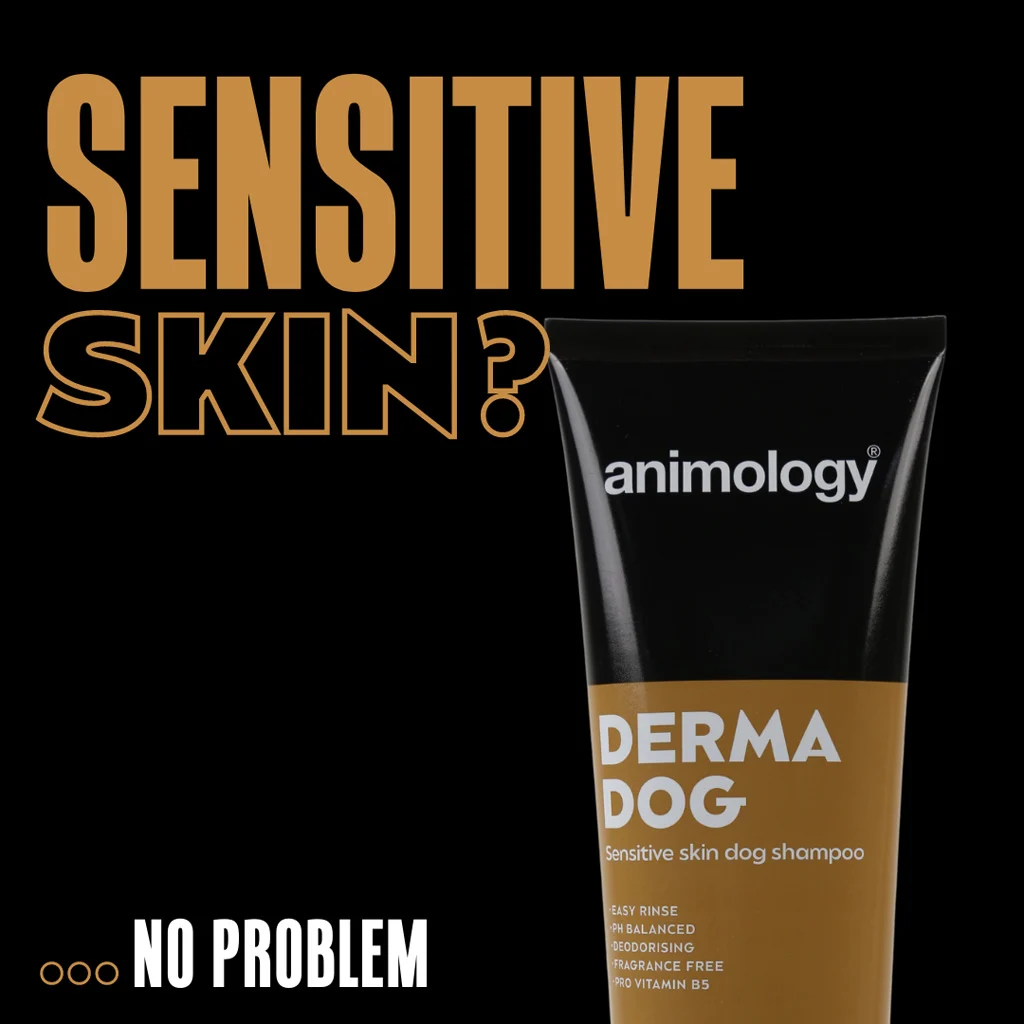 Hundeshampoo für empfindliche Haut, 250 ml – Animology Derma Dog Sensitive Skin – Bild 2