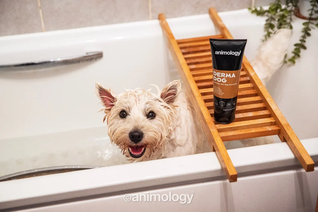Hundeshampoo für empfindliche Haut, 250 ml – Animology Derma Dog Sensitive Skin – Bild 3