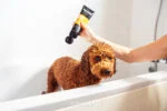 Hundeshampoo für lockiges Fell, 250 ml – Animology Curly Coat – Bild 2