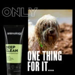 Hundeshampoo zur intensiven Reinigung, 250 ml – Animology Deep Clean Intensive – Bild 2