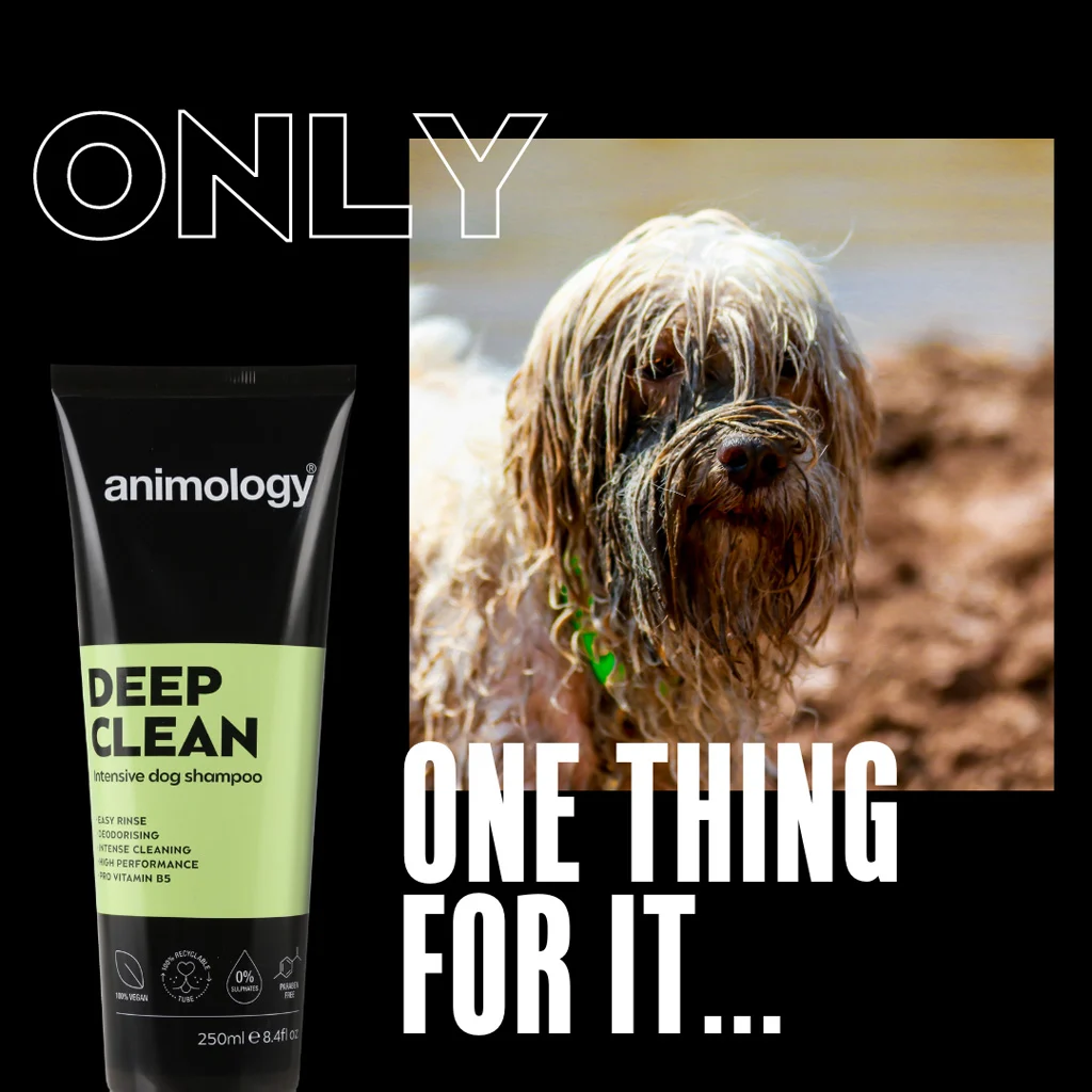 Hundeshampoo zur intensiven Reinigung, 250 ml – Animology Deep Clean Intensive – Bild 2