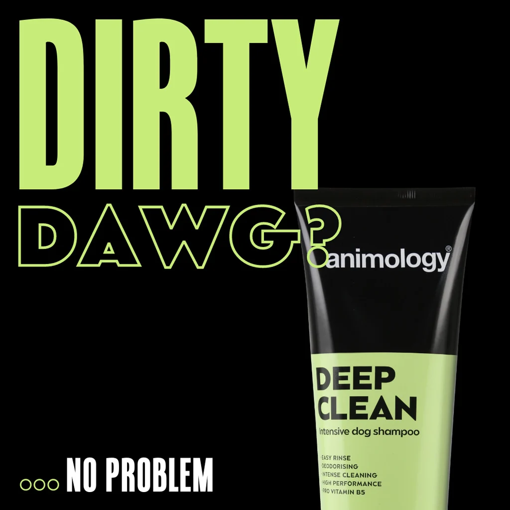 Hundeshampoo zur intensiven Reinigung, 250 ml – Animology Deep Clean Intensive – Bild 3