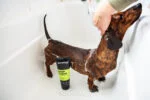 Hundeshampoo zur intensiven Reinigung, 250 ml – Animology Deep Clean Intensive – Bild 4